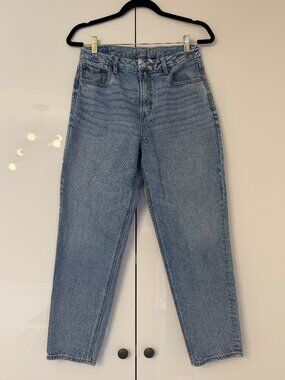 American Eagle Curvy Mom Jeans